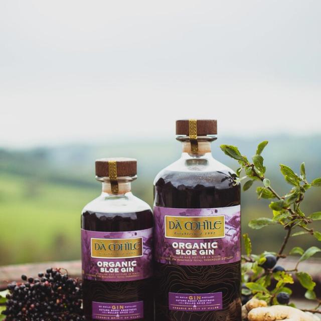 Da Mhile Sloe Gin 25% abv 70cl